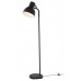 LED Table & Floor Lamp